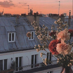 Meet your Posher, Mackenzie